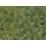 Groundcover Foliage, medium green